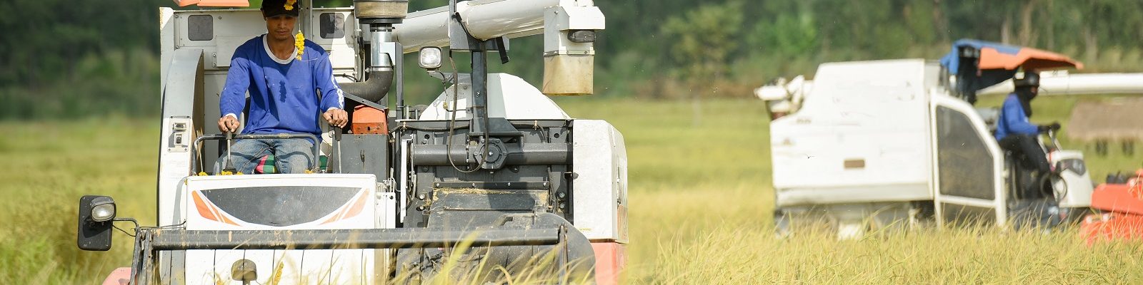 Combine harvester service providers in Myanmar: Insights from the 2025 monsoon season