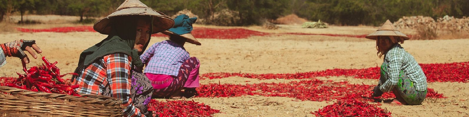 The rising costs of diets and declining purchasing power of casual wage laborers