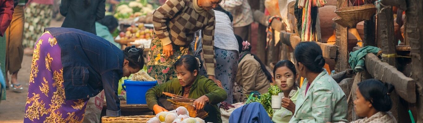 New Book on Myanmar’s Agrifood System