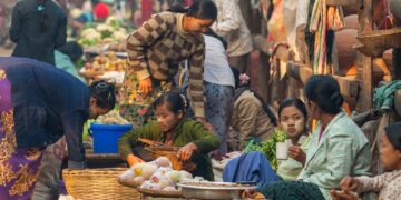 New Book on Myanmar’s Agrifood System