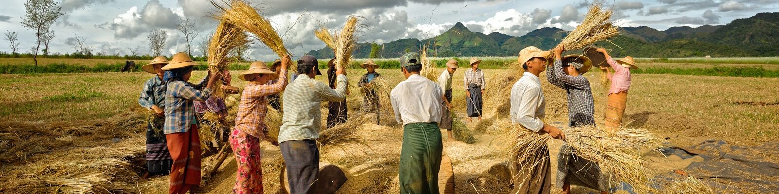 Farm Commercialization and Farm Services – 2025 Dry Season