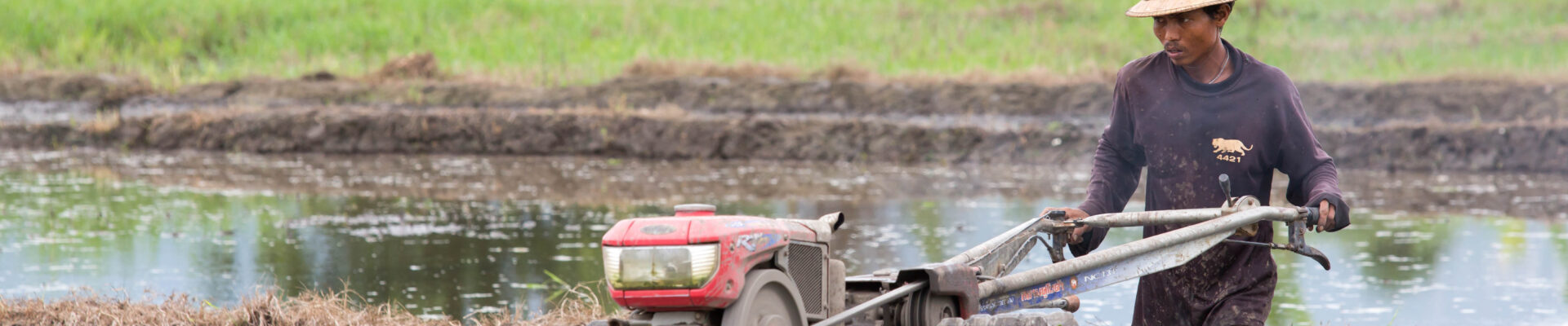 Tractor service providers in Myanmar: Early insights from the 2025 monsoon season