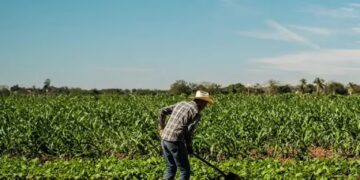 The State of Global Agricultural Insurance